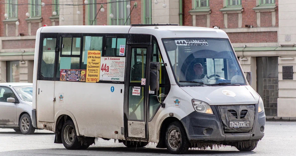 На авиафестиваль «ВИВА АВИА!» в Новосибирской области запустят 89 дополнительных маршрутов