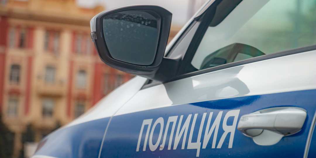 Полиция начала проверку после массовой драки на Темернике