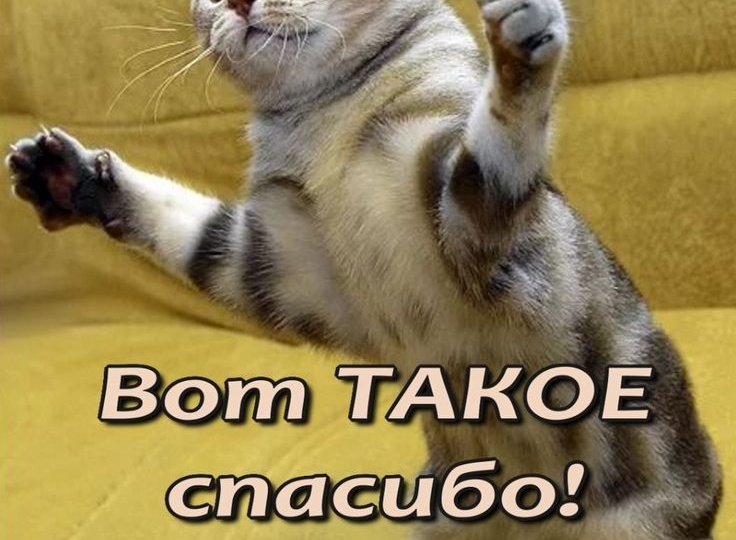 НОВОСТИ НАШЕГО ПРИЮТА