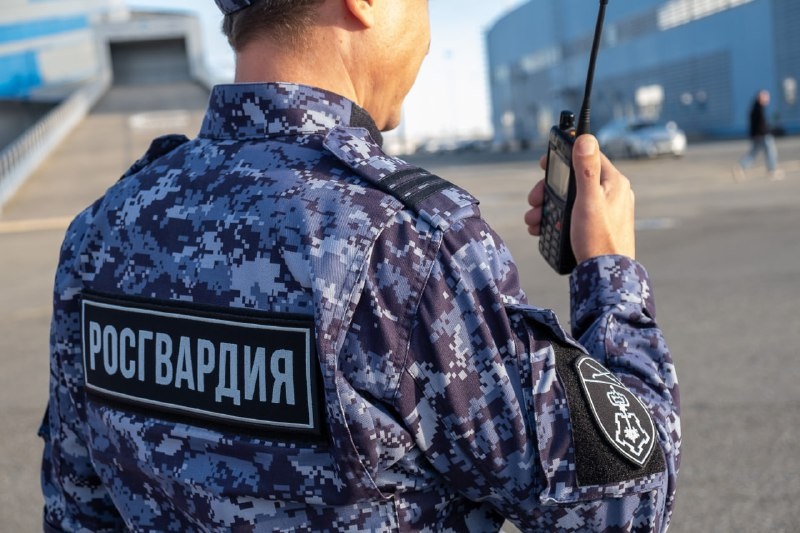 Курьеров с 16 килограммами наркотиков задержали в Пензенской области