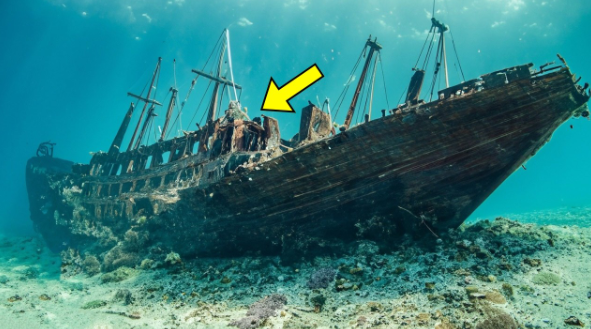 В Чёрном море обнаружен древний корабль. Водолазы удивляются, когда видят, что находится внутри