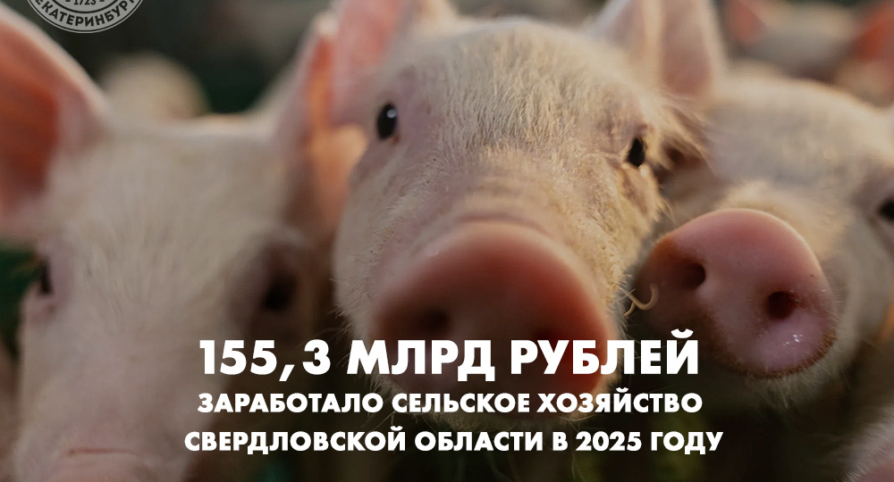 155,3 млрд рублей заработало сельское хозяйство Свердловской области в 2025 году