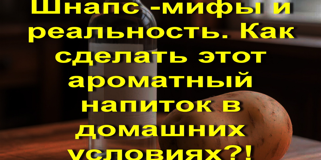 Шнапс -мифы и реальность. Как сделать этот ароматный напиток в домашних условиях. Рецепт.