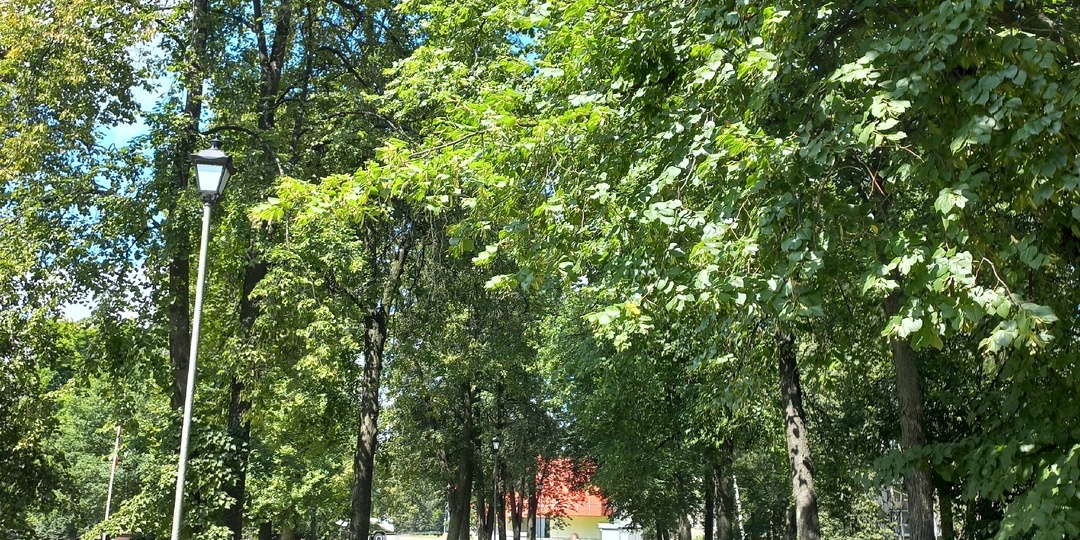 24.07.2026. Насыщенный день. Приезд гостьи)