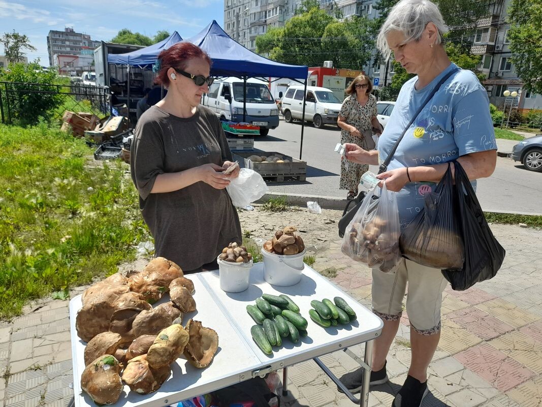 Почему продажа лесных грибов у метро грозит штрафом