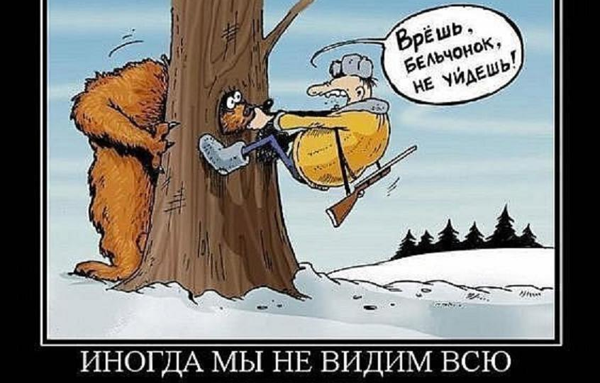 Эффект Даннинга-Крюгера: почему глупые уверены в себе, а умные сомневаются?