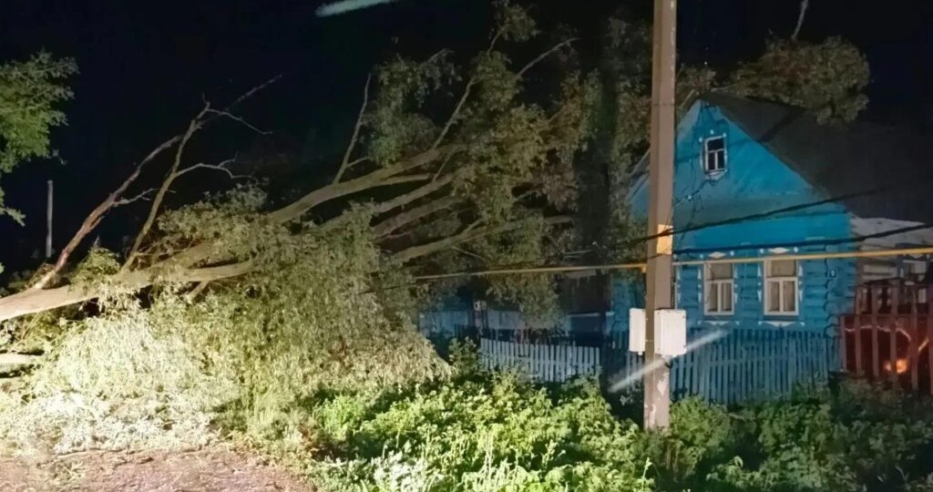 Мужчина погиб из-за упавшего дерева во время непогоды в Татарстане