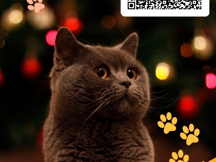 Пожалуйста, помогите оплатить коммунальные услуги и лекарства🙏