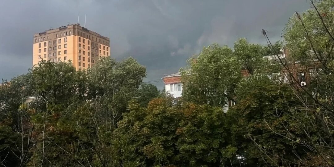 40 деревьев и крупных веток упало в Ростове из-за сильного дождя