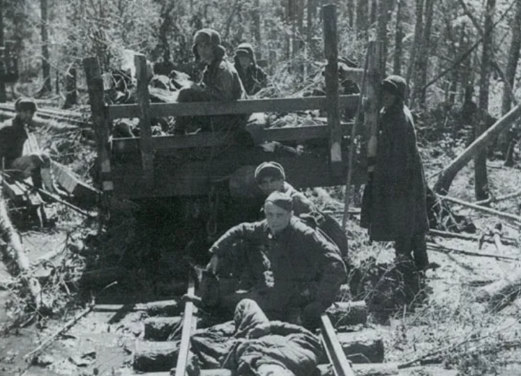 Итоги дня: успехи и вызовы Красной армии 24 января 1942