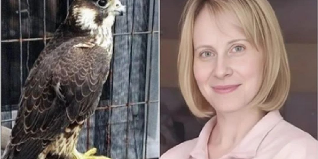 Женщина 10 лет спасала гибнущих птиц, а ей вынесли приговор
