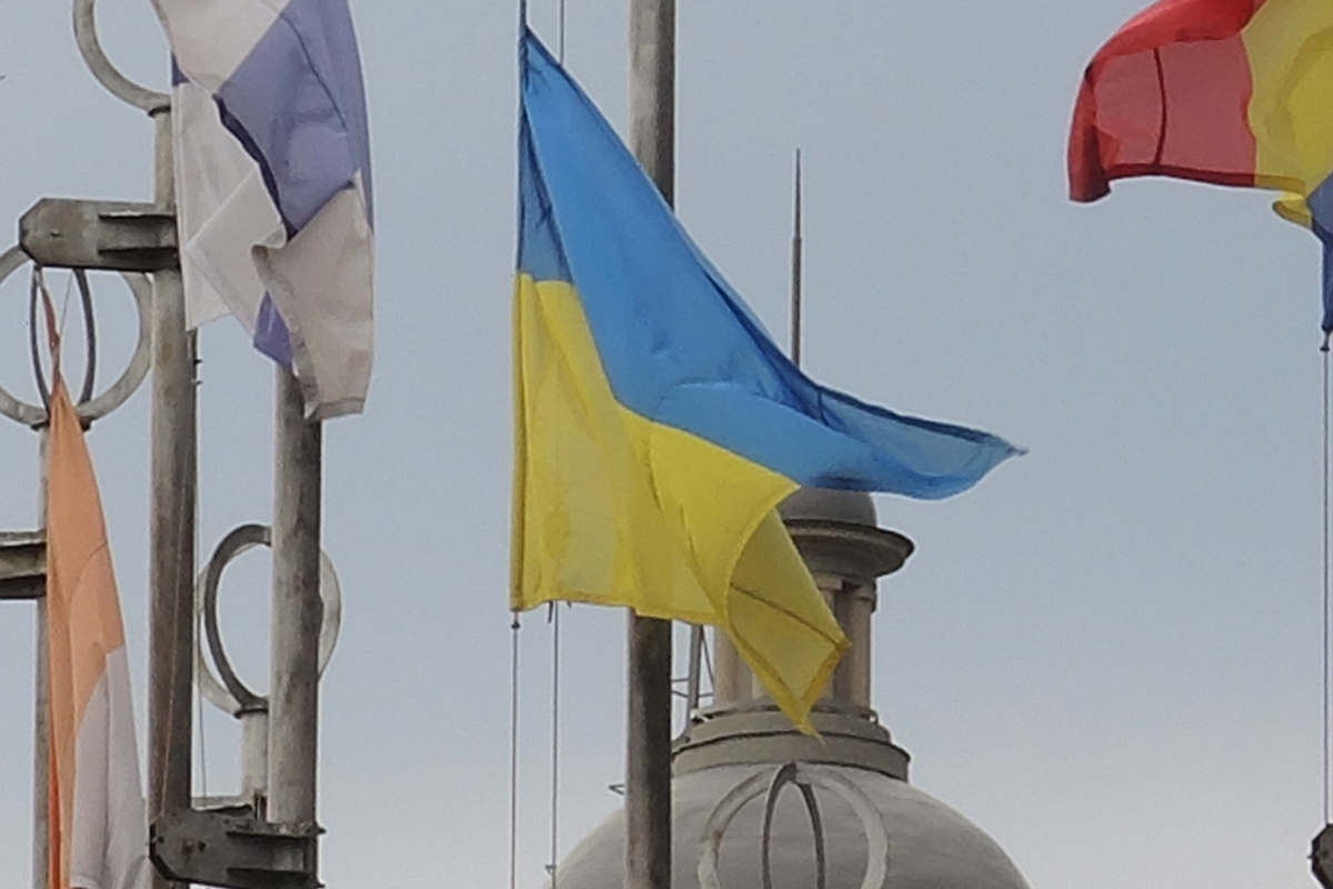   Наталья Мущинкина