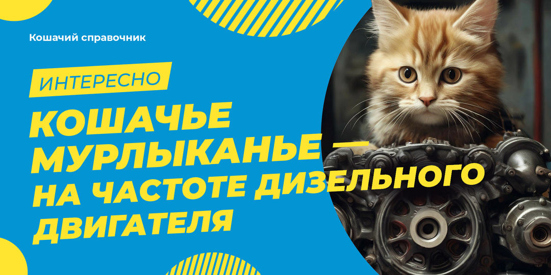 Кошачье мурлыканье — на частоте дизельного двигателя