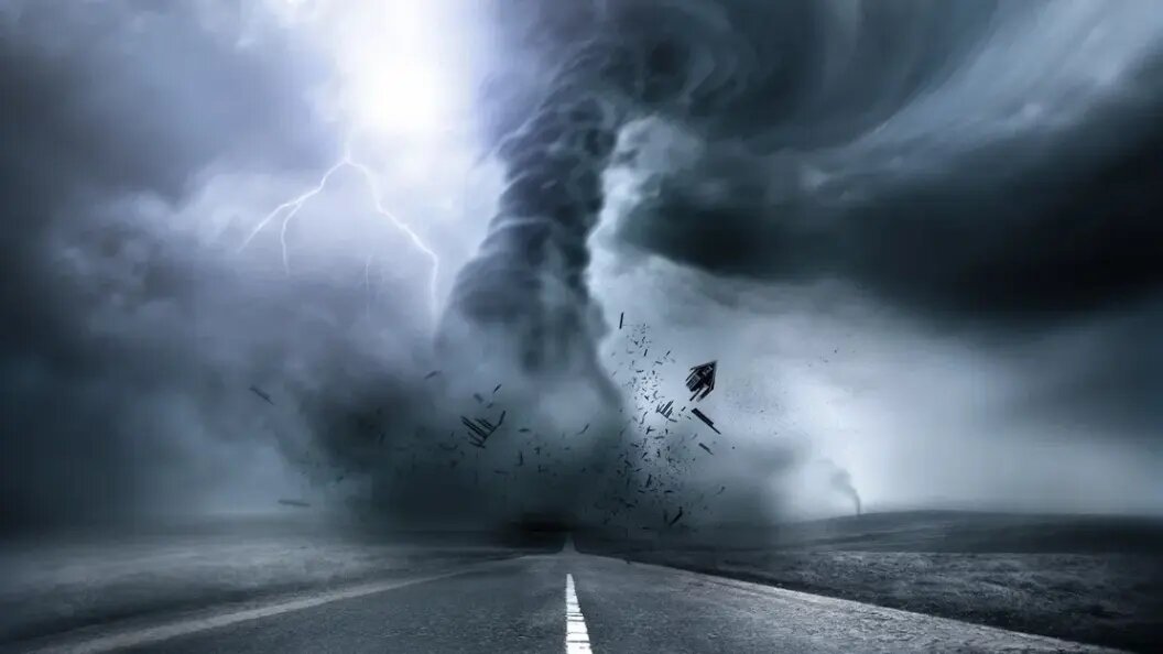    Фото: solarsevenshutterstock
