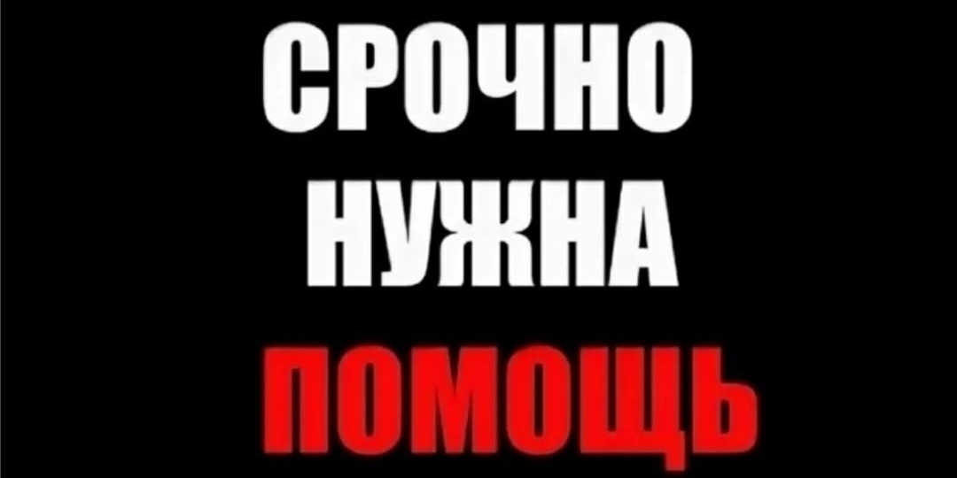 НУ КАК ЖЕ ТАК-ТО....??? 🆘🆘🆘 На вчерашнюю статью откликнулись только 7 человек😢