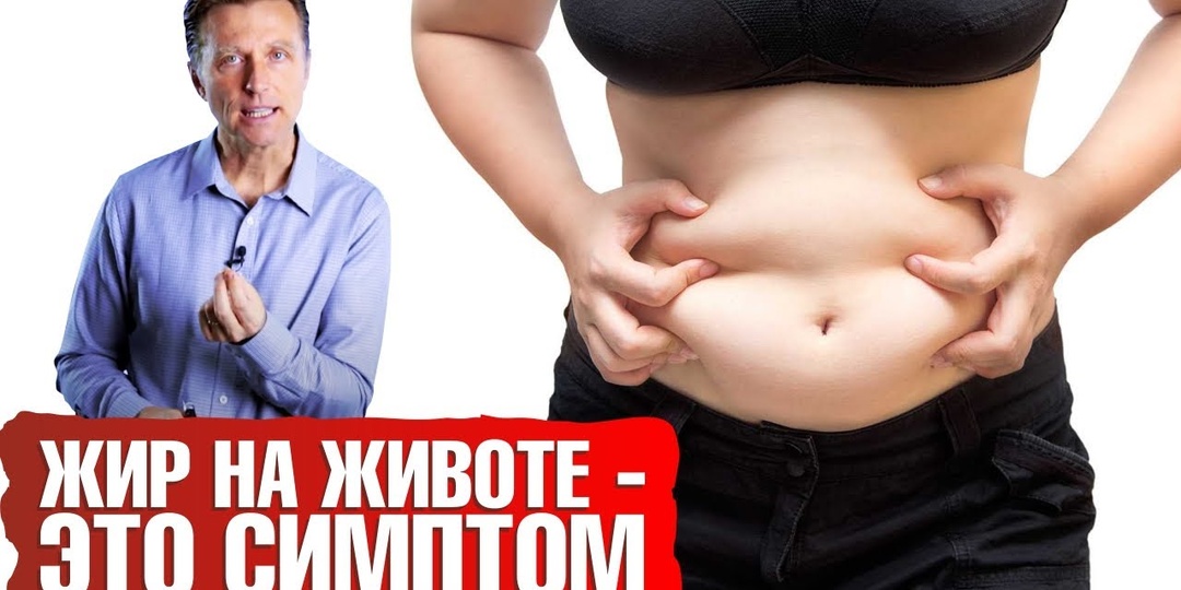 Висцеральный жир — почему он считается самым опасным