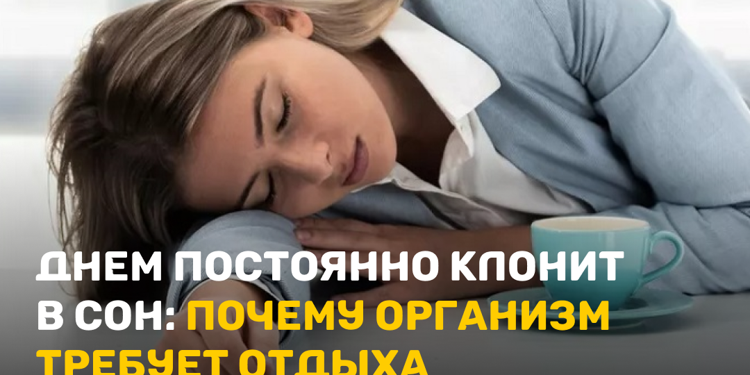 Днем постоянно клонит в сон: почему организм требует отдыха
