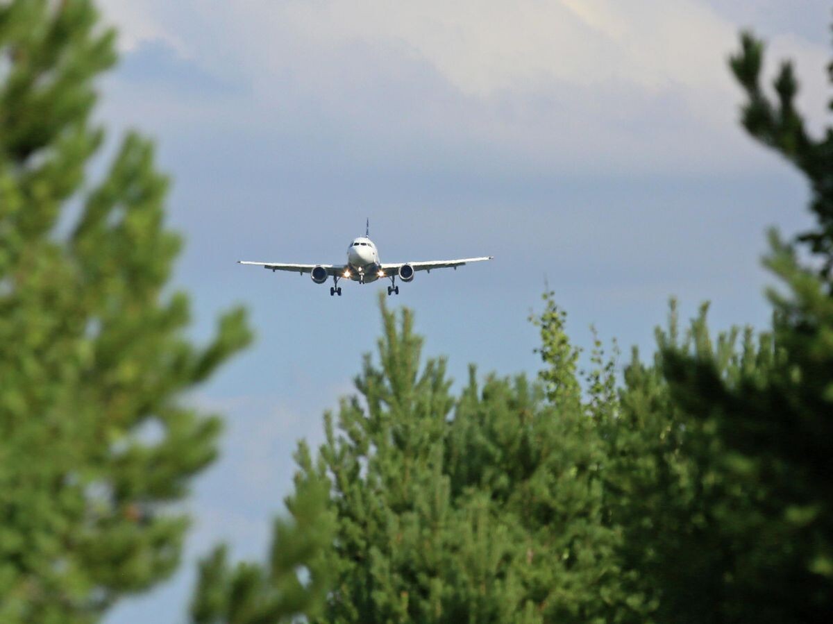    Пассажирский самолёт "Airbus A319-111" | © РИА Новости / Илья Наймушин