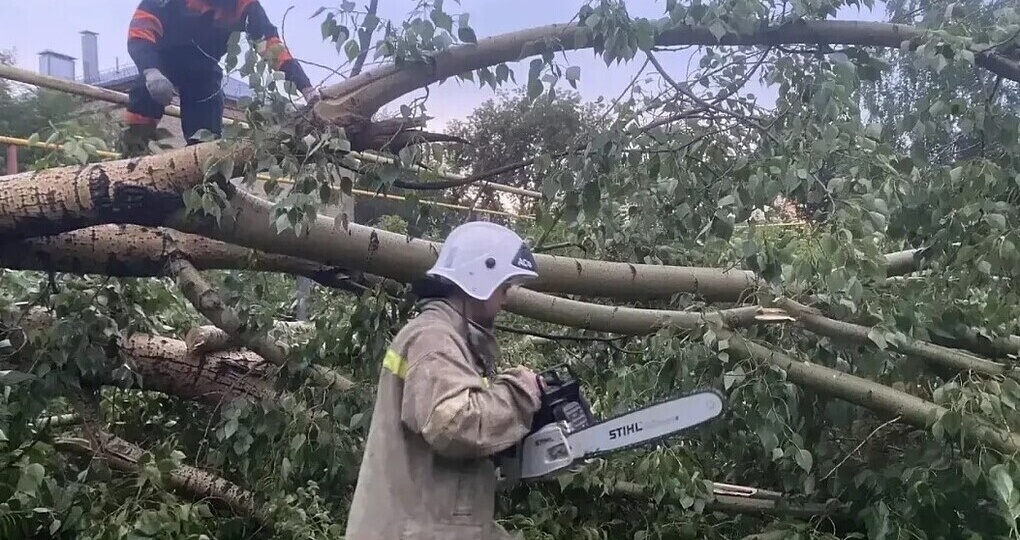 В Барнауле за пять дней штормовой погоды зафиксировали 145 происшествий