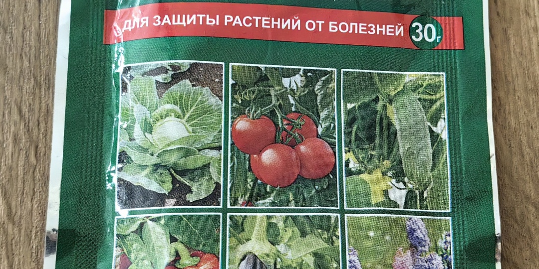 Триходерма: живой гриб, который съест фитофтору и оздоровит почву