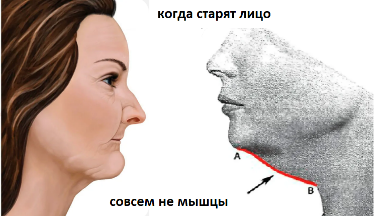 1 кость, которая старит на 5-10 лет или 3 способа подтянуть овал лица и второй подбородок