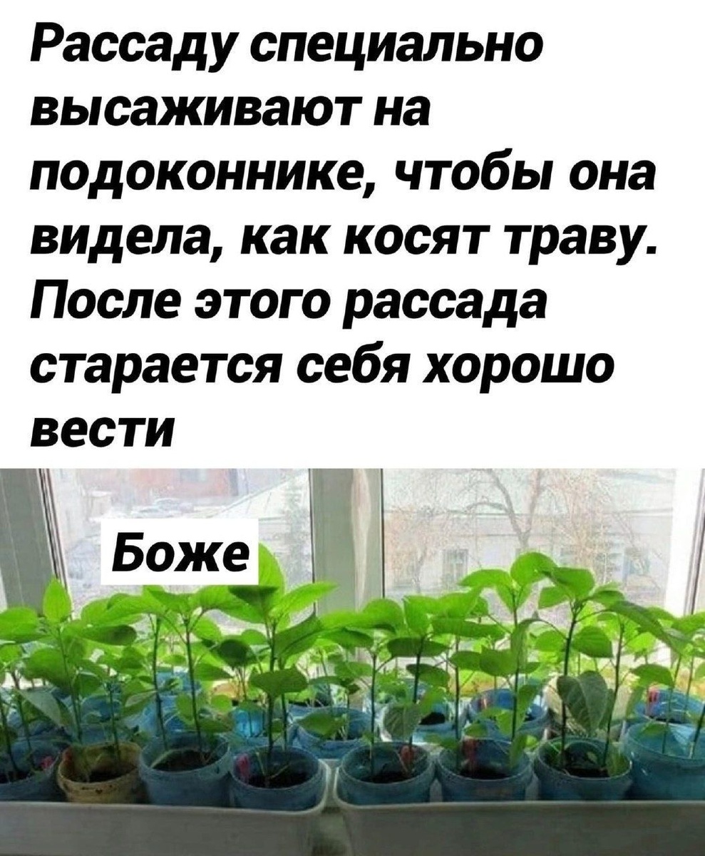 -18