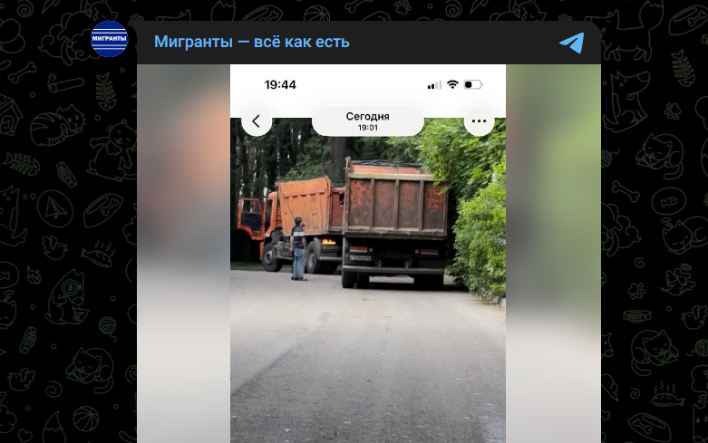 "Вонь на весь квартал": мигранты превратили поля в Новой Москве в огромную свалку