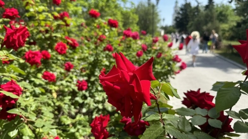 28 июля астраханцев ждёт жаркая погода