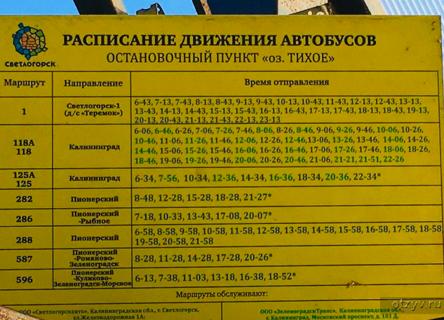 Проблемы с транспортом в Светлогорске?