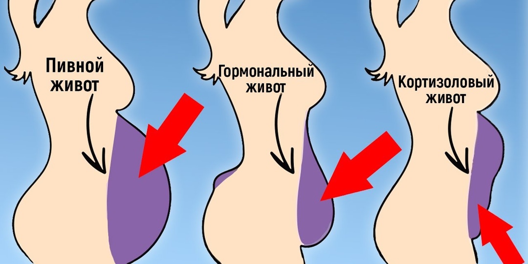 Повышенный кортизол — организм начинает работать на износ