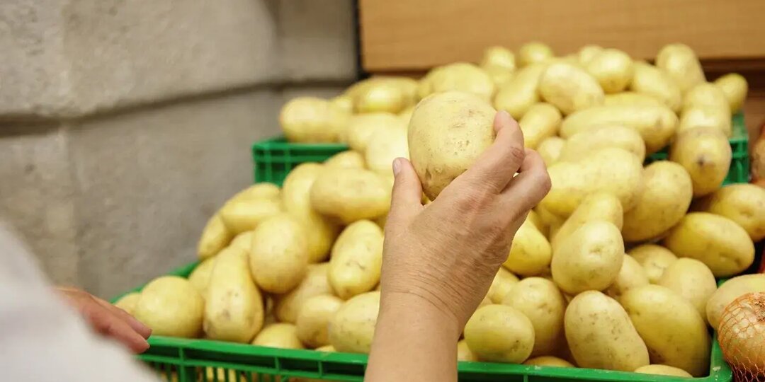 Склады ломятся от российской картошки. Но магазины закупаются в Египте
