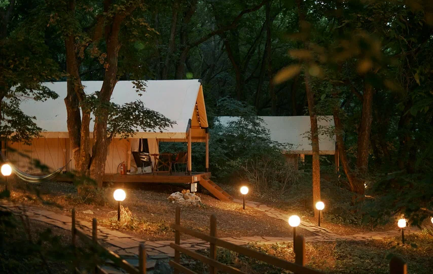 River Glamp: место, где кролики популярнее шеф-повара