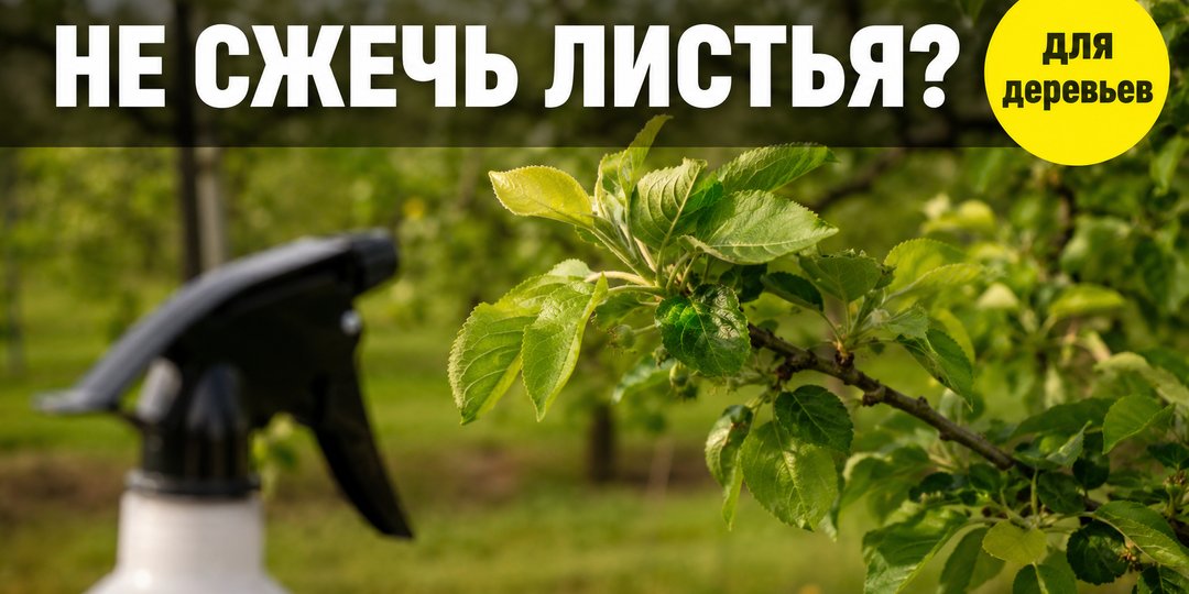 Раствор медного купороса для деревьев и кустарников: как не сжечь листья