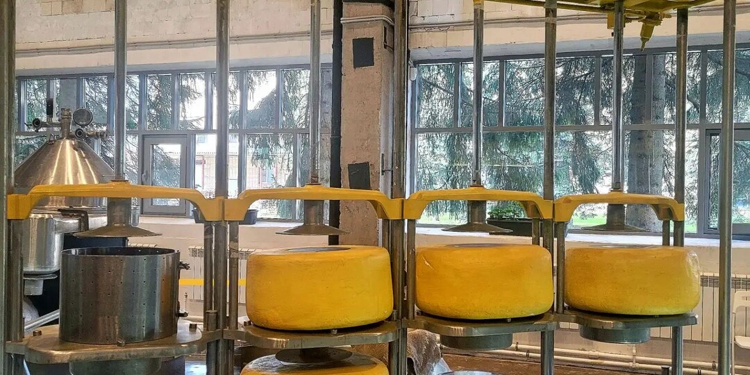Музей сыра в Угличе: стоит ли отдавать 1150 руб за экскурсию с дегустацией
