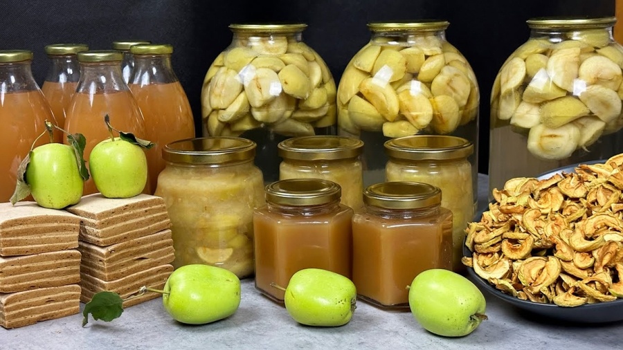 Яблоки на зиму – сушим, морозим, варим и мочим. Лучшие способы для дачника