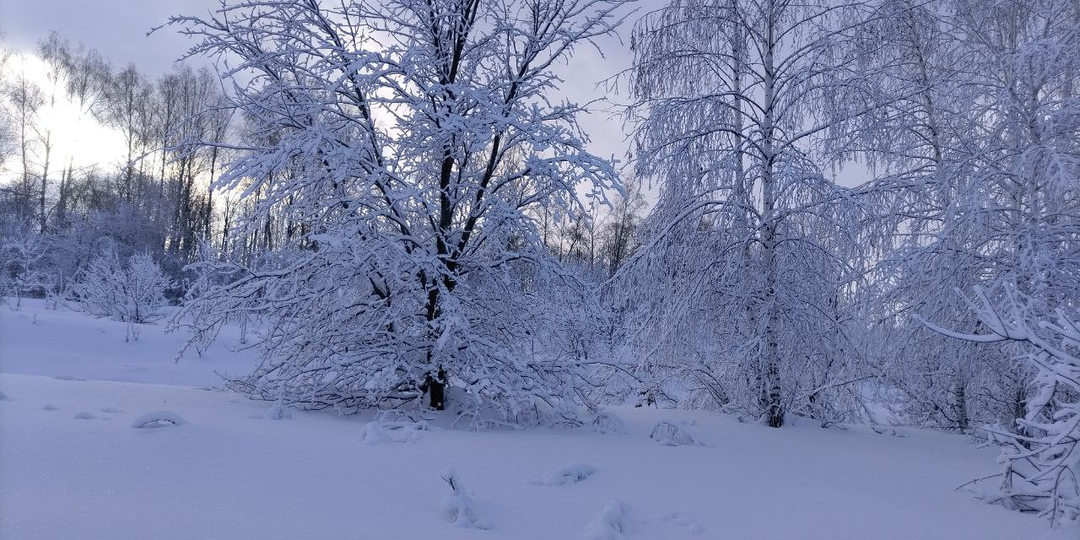 Роковая любовница. Глава 17.