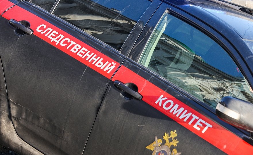 Следователи установили участников конфликта с ученым РАН Зезиным, умершим после избиения