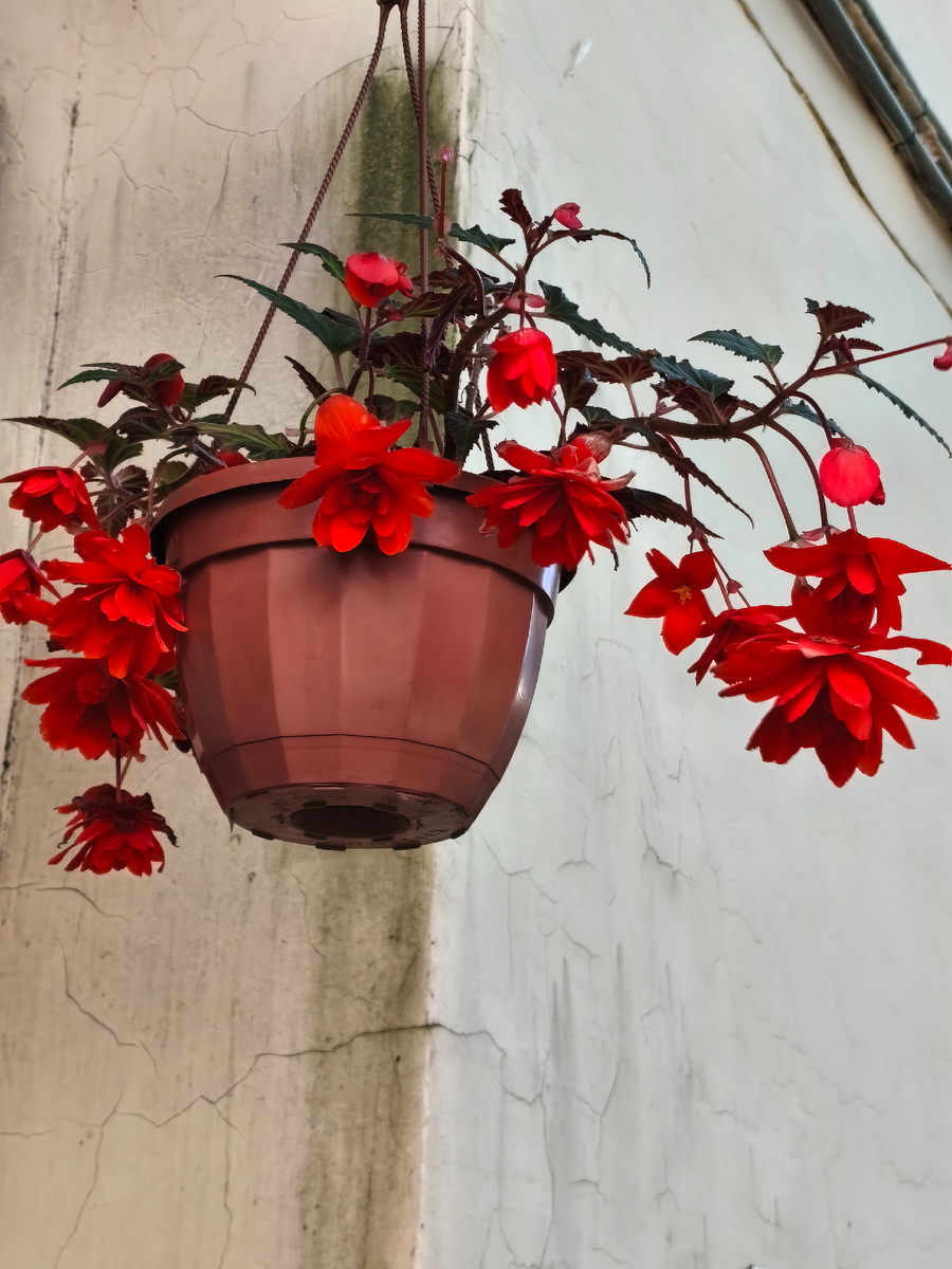 Фото 2.