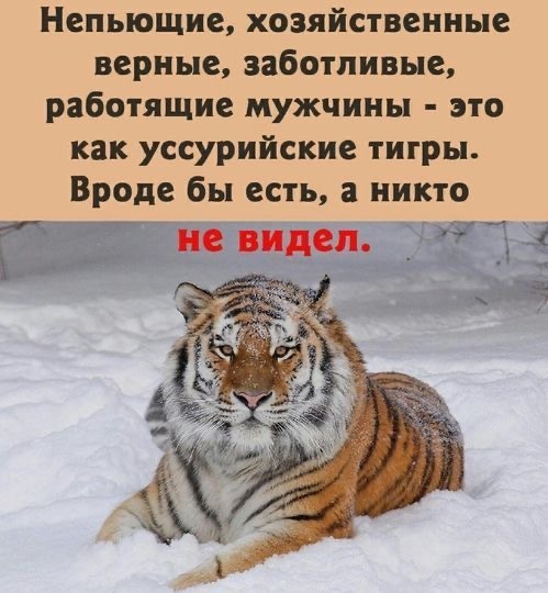 -7