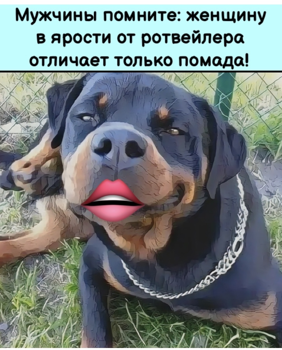 -8
