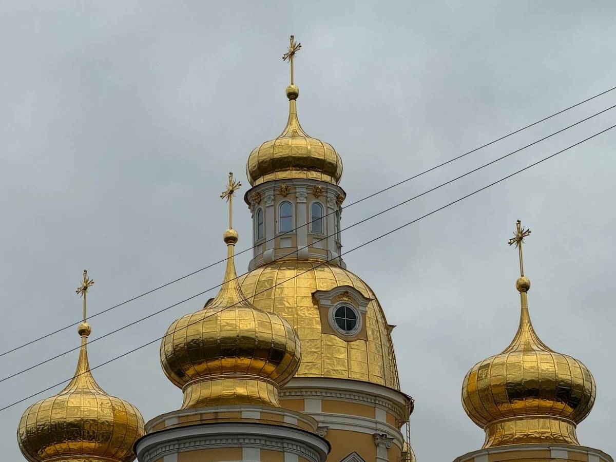    Фото: "Бриф24"