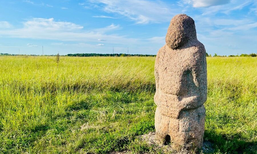 Ученые впервые показали, как устроен курский чернозем на наноуровне