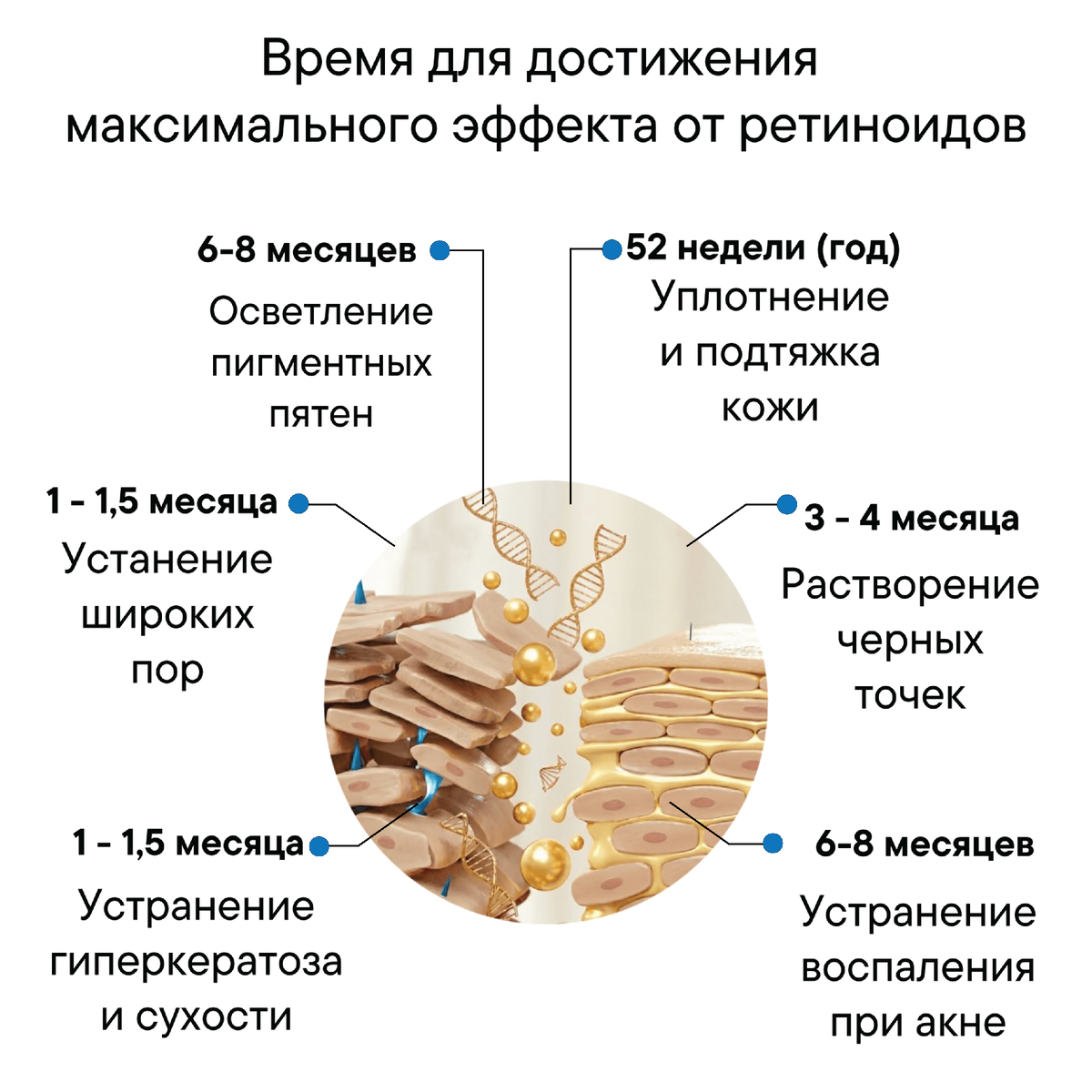 Для достижения максимальных результатов от применения ретиноидов требуется разное время в зависимости от проблемы: от 1 месяца до 1 года.