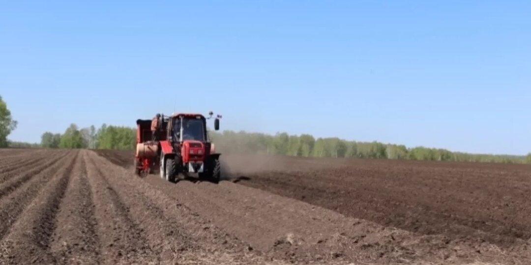 Россельхознадзор нанес 110 визитов к новосибирским сельхозпроизводителям