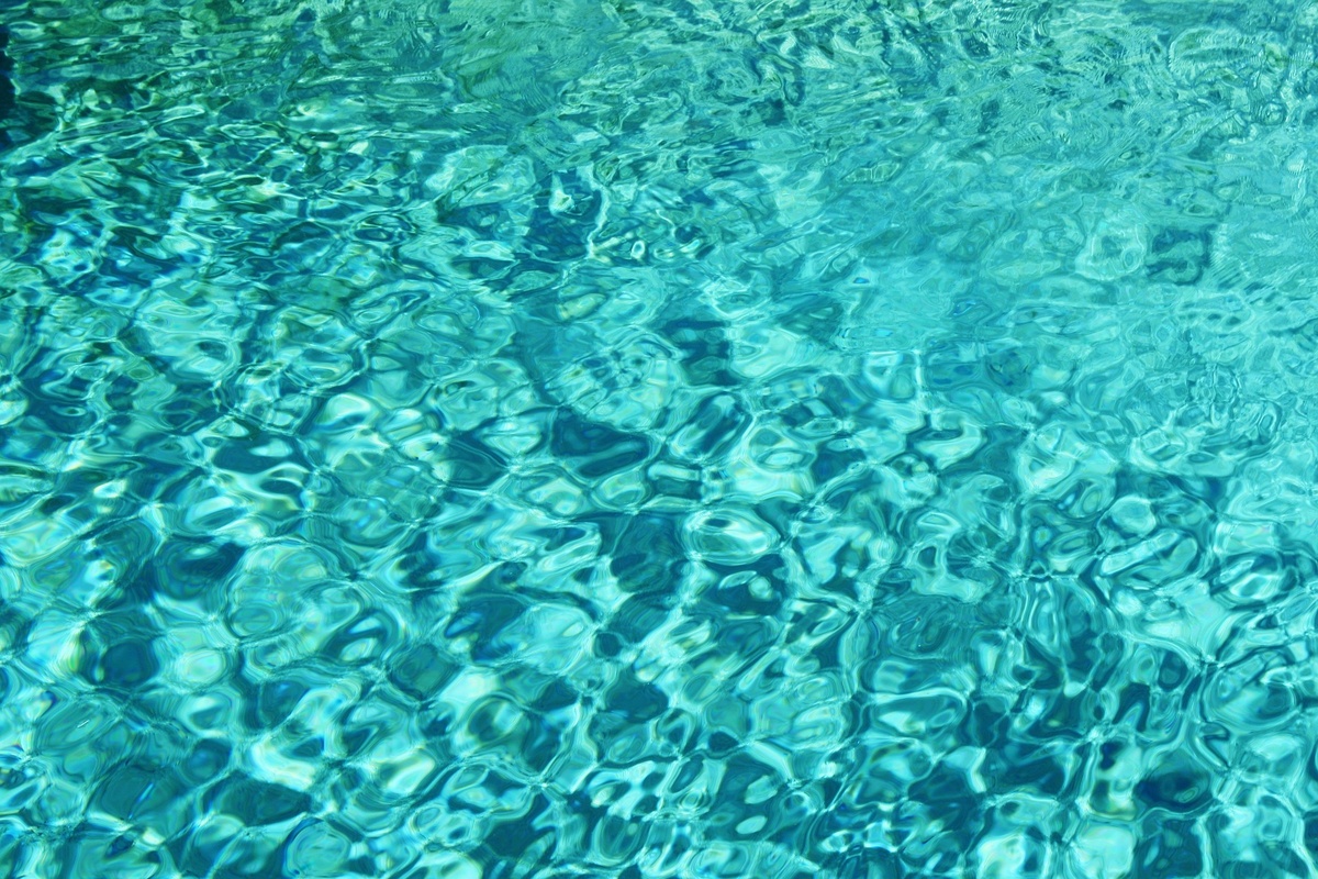    Фото: pixabay.com
