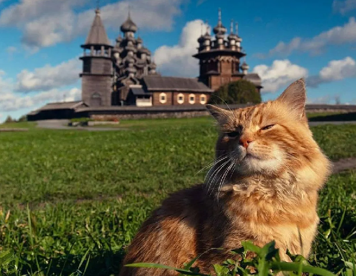 😻Кошка дороже коровы и коня: как относились к кошкам в древней Руси