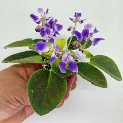   📷
