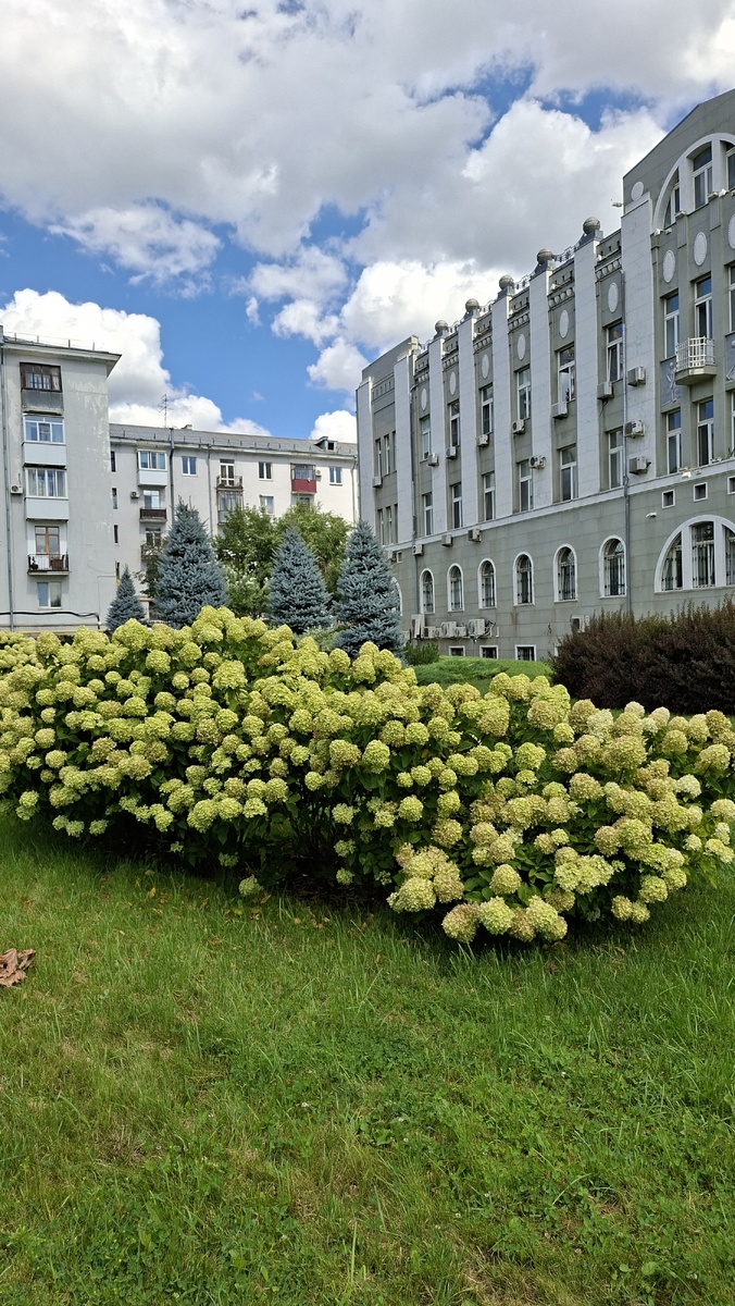 Такая вот красота