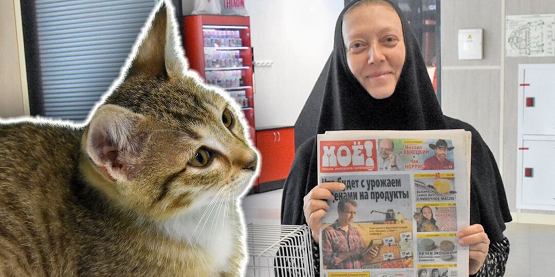 Что стало с монахиней, которую вместе с котятами выгнали из перехода в Воронеже
