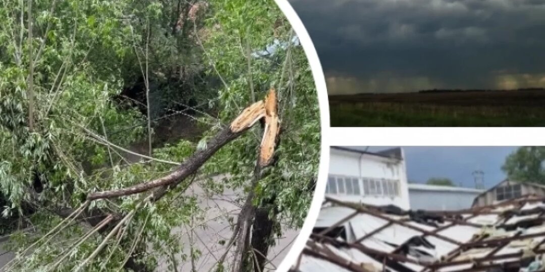 Кровлю главного корпуса университета в Ростове снесло во время урагана